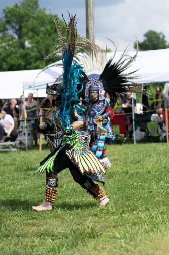 1339- DSC6610