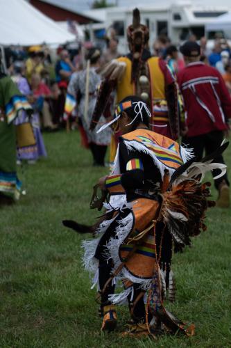 382- DSC5653