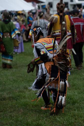 383- DSC5654