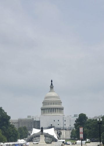 Resized 20230701 132849